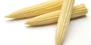Baby Corn