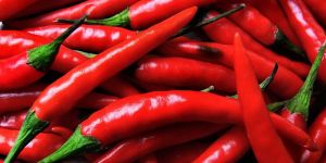 Fresh Red Chilli