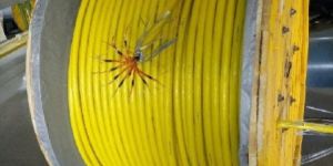 Electrical Wire