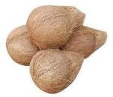 Coconut