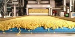 Frozen French Fries Line