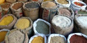 Indian Pulses