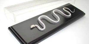 Non-poisonous Snake Skeleton Real Educational