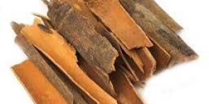 Cinnamon