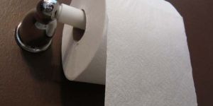 Toilet Paper Rolls