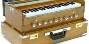 Harmonium Reed