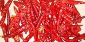 Dried Red Chillies