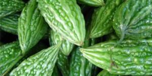 Fresh Bitter Gourd