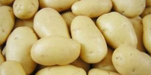 Fresh Potato (Solanum Tuberosum)