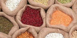 Indian Pulses
