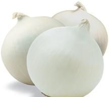 Onions (Allium Cepa)