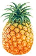 Fresh Pineapple
