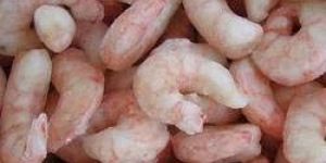 Frozen Deep Sea Shrimps