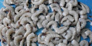 Frozen Vannamei Shrimps