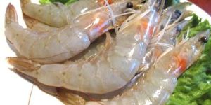 Frozen King Prawns