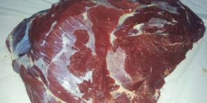 Frozen Buffalo Top Side