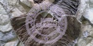 Frozen Buffalo Omasum