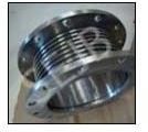 Expansion Bellows