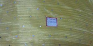 Sparkle Patta Fabric