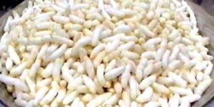 Puffed Rice