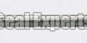 Stainless Steel Injection Packers