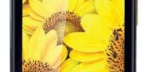 iBall Touch Screen Mobile Phones