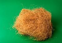 Coconut Coir