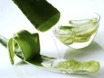 Aloe Vera Oil