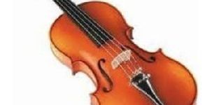 Violin
