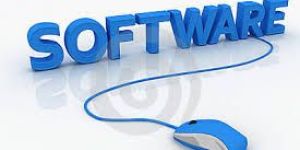 Software Development Services