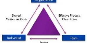 Organizational Development Services