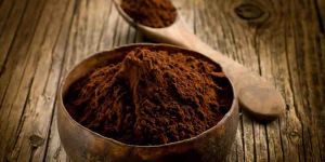 Ganoderma Lucidum Powder