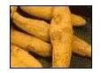 Turmeric Finger
