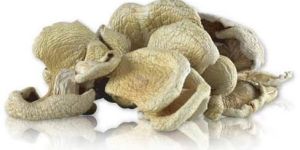 Dried Oyster Mushroom