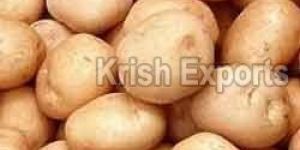 Fresh Potato