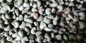 Raw Cashew Nuts