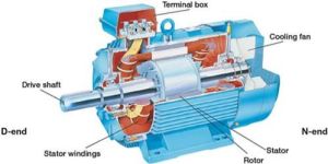 Three Phase AC Motor