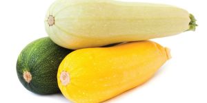 Fresh Squash