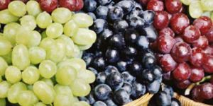Fresh Grapes