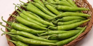 Fresh Green Chillies