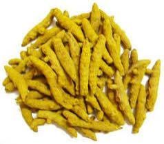 Rajapuri Turmeric Finger
