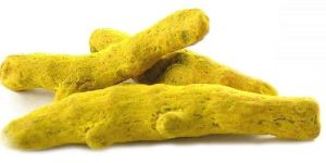 Turmeric Finger