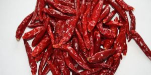 Dried Red Chilli