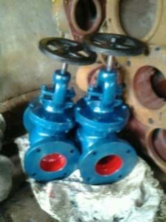 Globe Valve