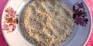 Sesame Seed