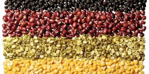Indian Pulses