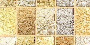 Basmati Rice