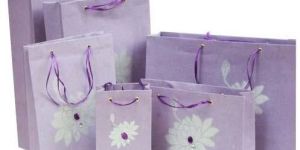 Fancy Paper Carry Bags