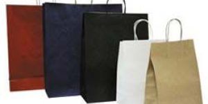 Plain Paper Carry Bags