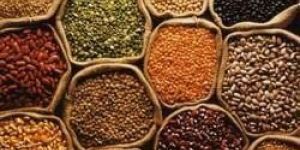 Indian Pulses